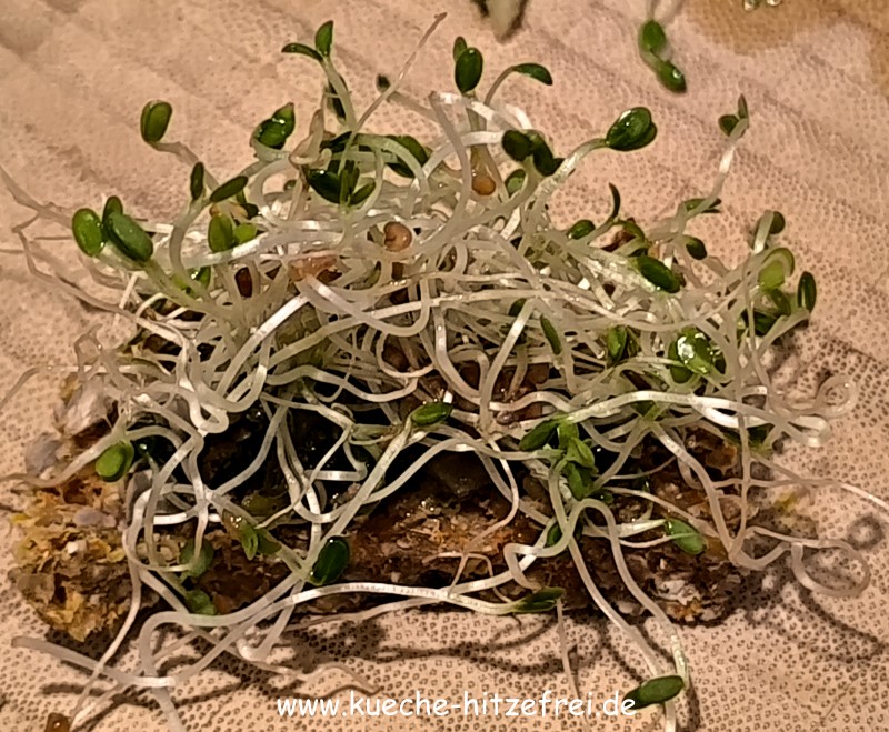 buchweizen karotten brot8